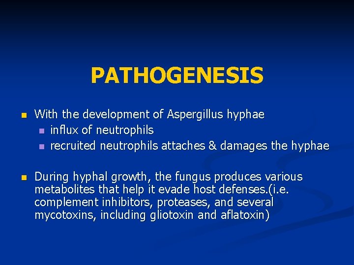 PATHOGENESIS With the development of Aspergillus hyphae influx of neutrophils recruited neutrophils attaches &