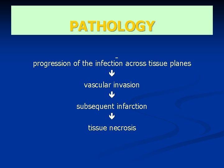 PATHOLOGY - progression of the infection across tissue planes vascular invasion subsequent infarction tissue