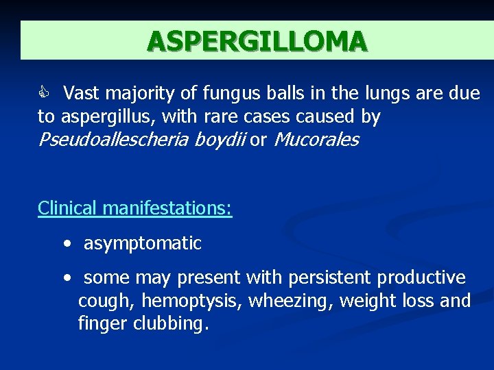 ASPERGILLOMA Vast majority of fungus balls in the lungs are due to aspergillus, with