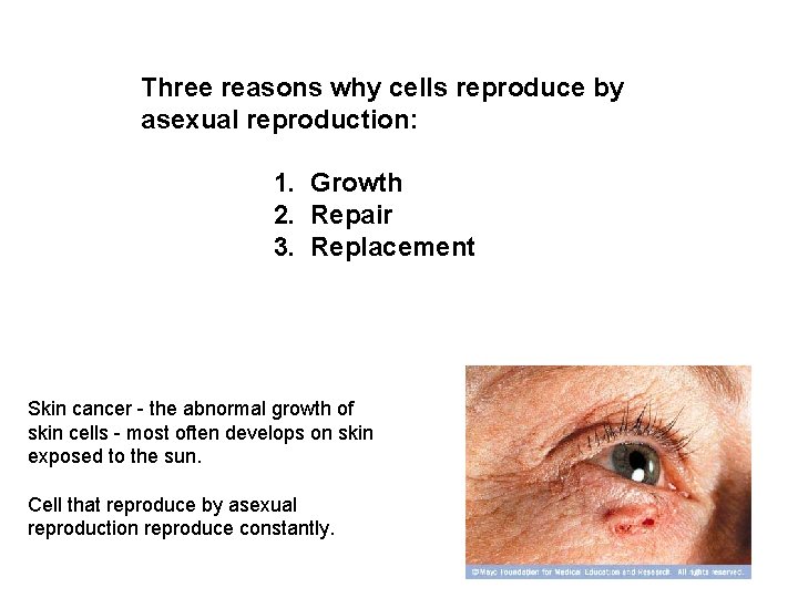 Three reasons why cells reproduce by asexual reproduction: 1. Growth 2. Repair 3. Replacement