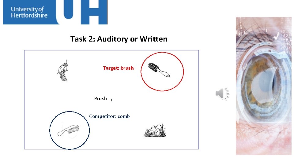 Task 2: Auditory or Written Target: brush Brush Competitor: comb 