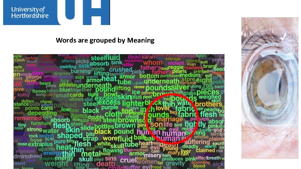 Words are grouped by Meaning 