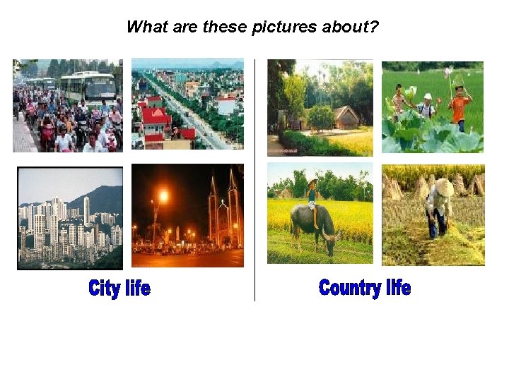 What are these pictures about? 