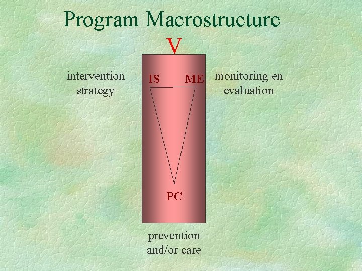 Program Macrostructure V intervention strategy ME monitoring en evaluation IS PC prevention and/or care