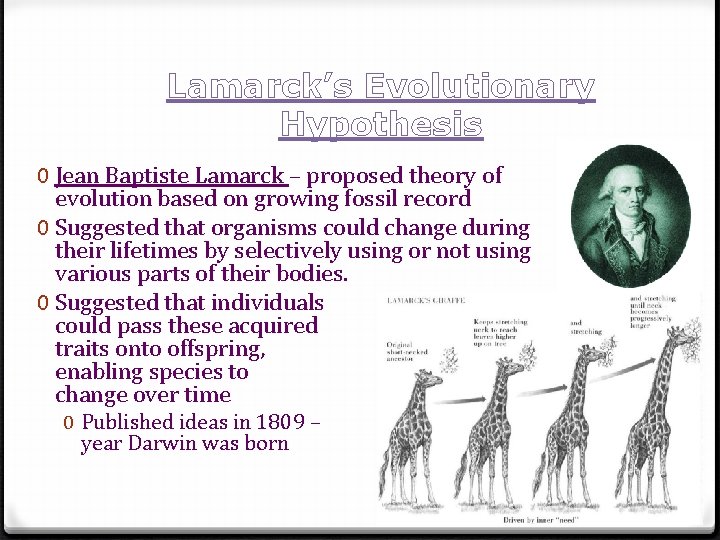 Lamarck’s Evolutionary Hypothesis 0 Jean Baptiste Lamarck – proposed theory of evolution based on