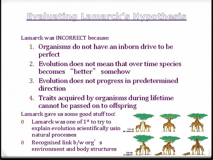 Evaluating Lamarck’s Hypothesis Lamarck was INCORRECT because: 1. Organisms do not have an inborn