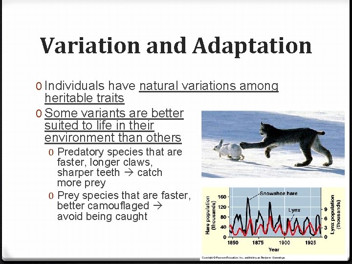 Variation and Adaptation 0 Individuals have natural variations among heritable traits 0 Some variants