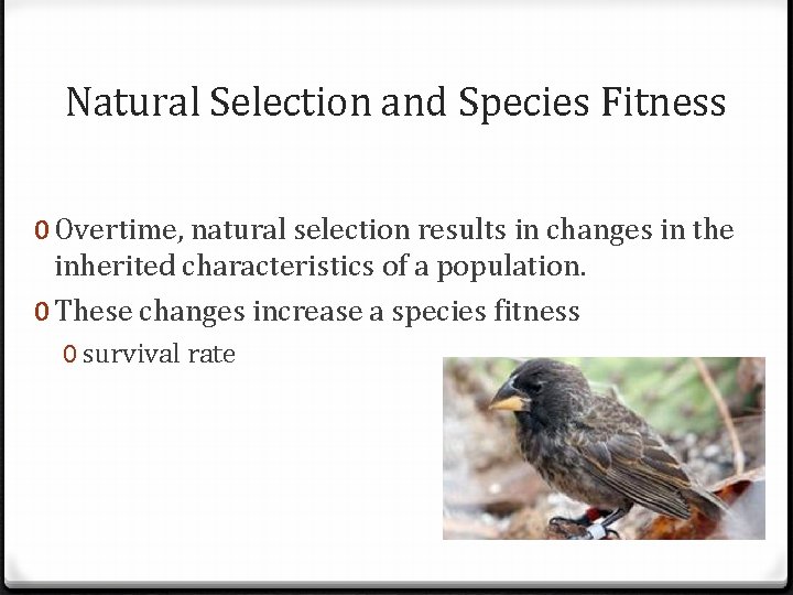 Natural Selection and Species Fitness 0 Overtime, natural selection results in changes in the