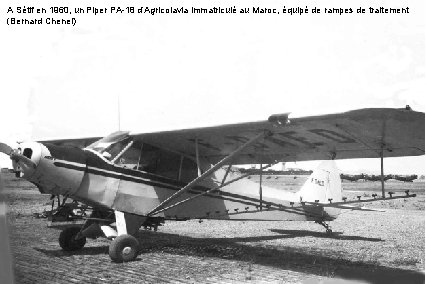 A Sétif en 1960, un Piper PA-18 d’Agricolavia immatriculé au Maroc, équipé de rampes