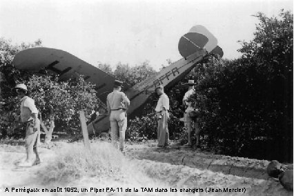 A Perrégaux en août 1952, un Piper PA-11 de la TAM dans les orangers