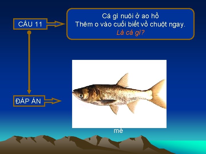 C U 11 Cá gì nuôi ở ao hồ Thêm o vào cuối biết