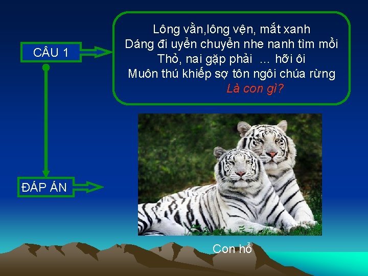 C U 1 Lông vằn, lông vện, mắt xanh Dáng đi uyển chuyển nhe