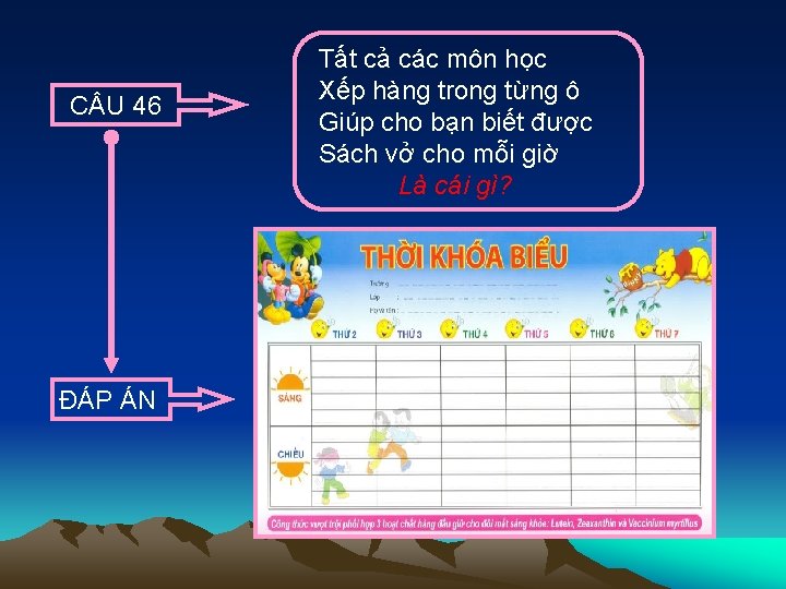 C U 46 ĐÁP ÁN Tất cả các môn học Xếp hàng trong từng