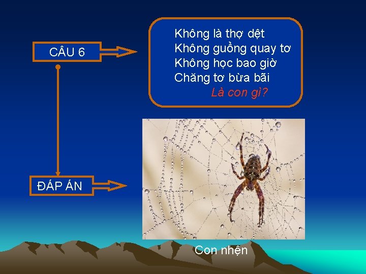 C U 6 Không là thợ dệt Không guồng quay tơ Không học bao