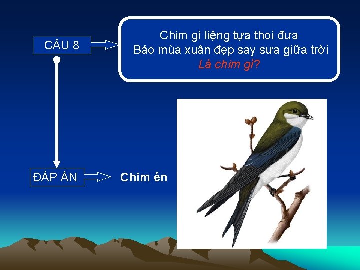 C U 8 ĐÁP ÁN Chim gì liệng tựa thoi đưa Báo mùa xuân