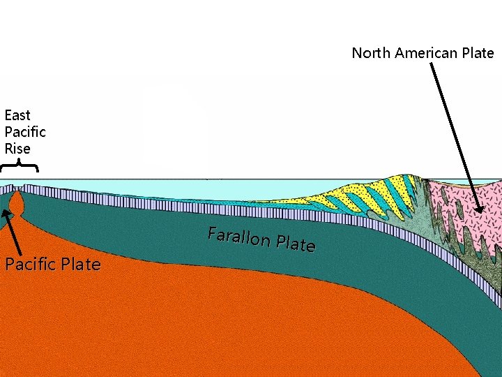 North American Plate East Pacific Rise Pacific Plate Farallon Plate 