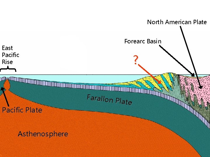 North American Plate East Pacific Rise Pacific Plate Asthenosphere Forearc Basin ? Farallon Plate