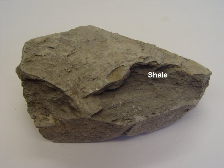 Shale 