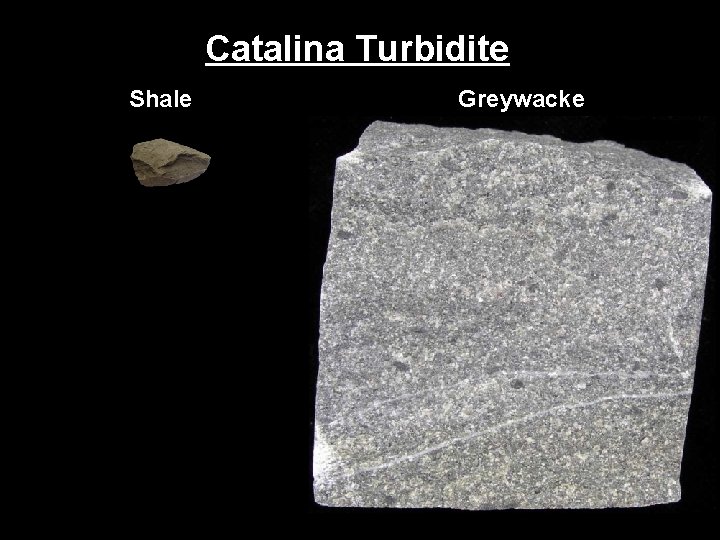 Catalina Turbidite Shale Greywacke 