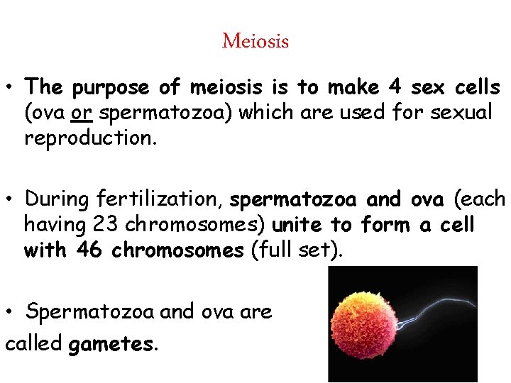 Meiosis • The purpose of meiosis is to make 4 sex cells (ova or