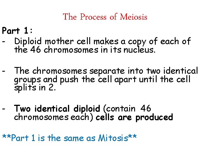The Process of Meiosis Part 1: - Diploid mother cell makes a copy of
