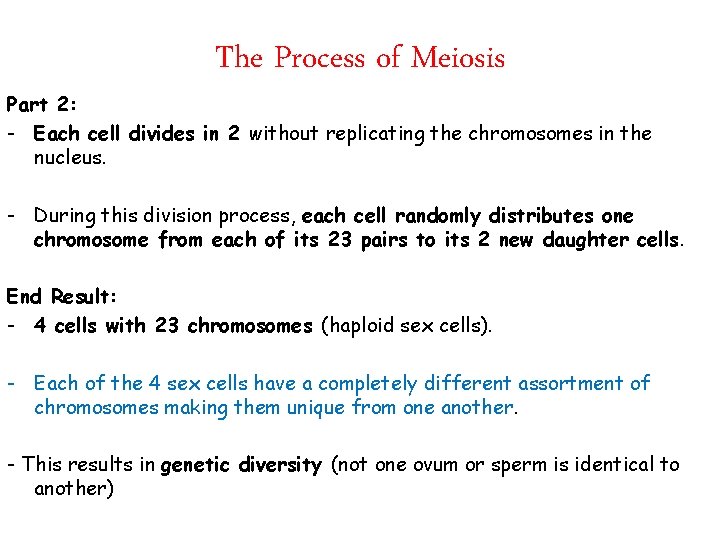 The Process of Meiosis Part 2: - Each cell divides in 2 without replicating