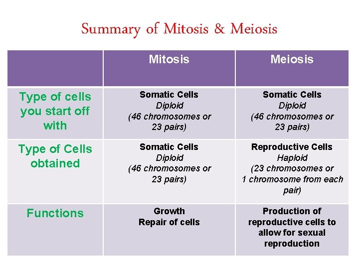 Summary of Mitosis & Meiosis Mitosis Meiosis Type of cells you start off with