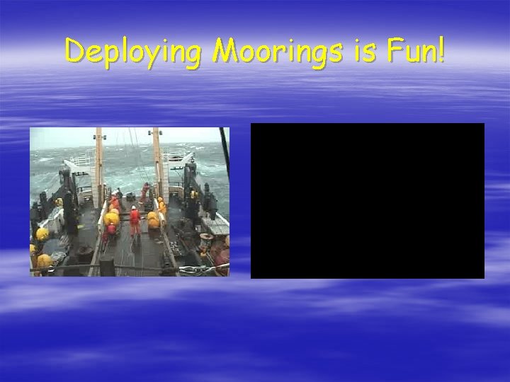 Deploying Moorings is Fun! 