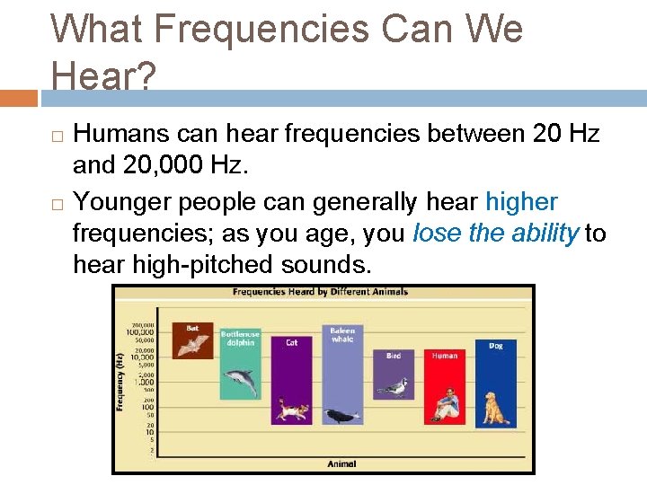 What Frequencies Can We Hear? Humans can hear frequencies between 20 Hz and 20,