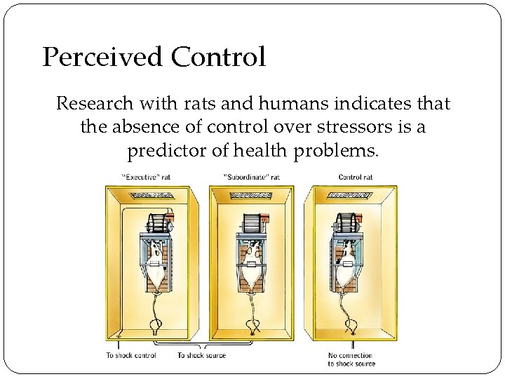 Perceived Control Research with rats and humans indicates that the absence of control over