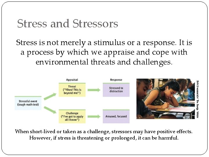Stress and Stressors Stress is not merely a stimulus or a response. It is