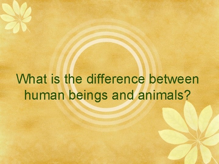 What is the difference between human beings and animals? 