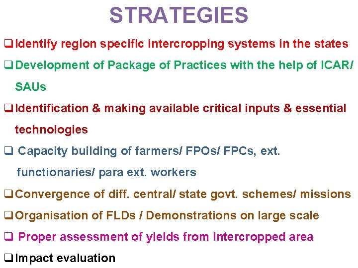 STRATEGIES q. Identify region specific intercropping systems in the states q. Development of Package
