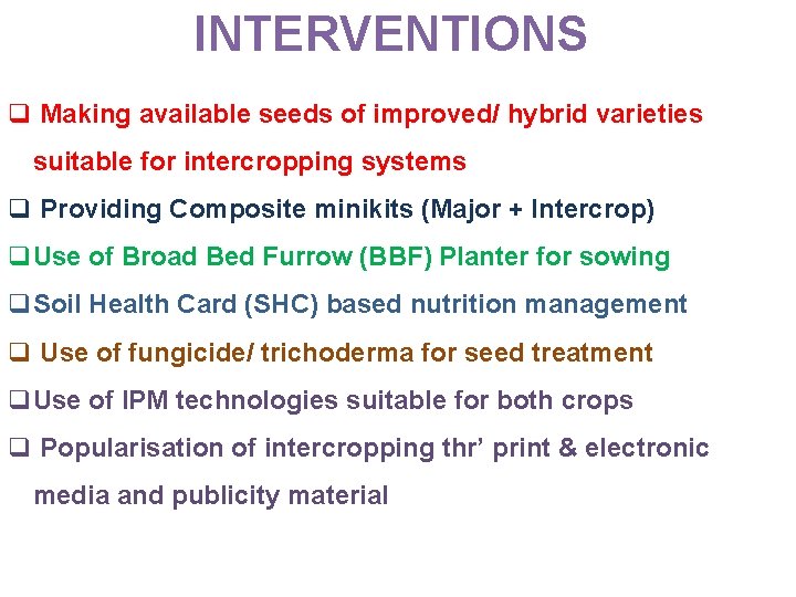 INTERVENTIONS q Making available seeds of improved/ hybrid varieties suitable for intercropping systems q
