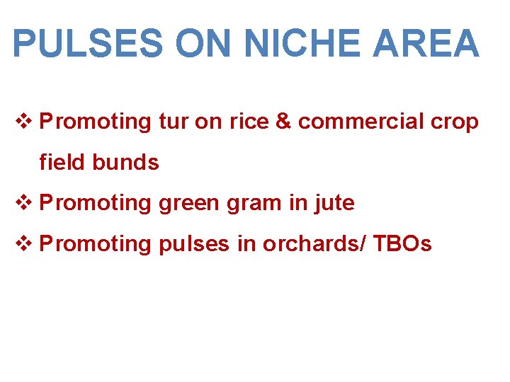 PULSES ON NICHE AREA v Promoting tur on rice & commercial crop field bunds