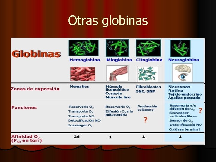 Otras globinas Otras globinas