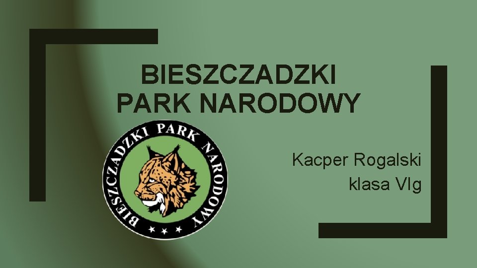 BIESZCZADZKI PARK NARODOWY Kacper Rogalski klasa VIg 