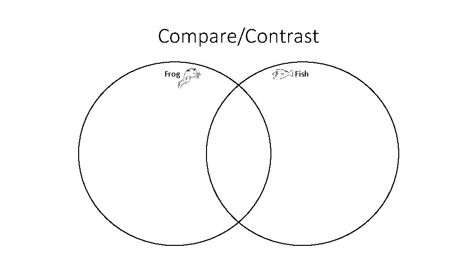 Compare/Contrast Frog Fish 