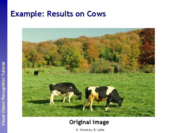 Perceptual and. Recognition Sensory Augmented Visual Object Tutorial Computing Example: Results on Cows Original
