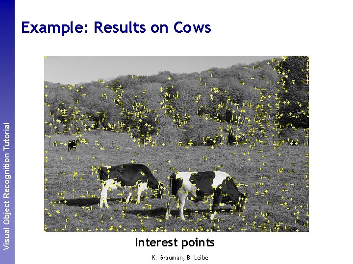 Perceptual and. Recognition Sensory Augmented Visual Object Tutorial Computing Example: Results on Cows Interest