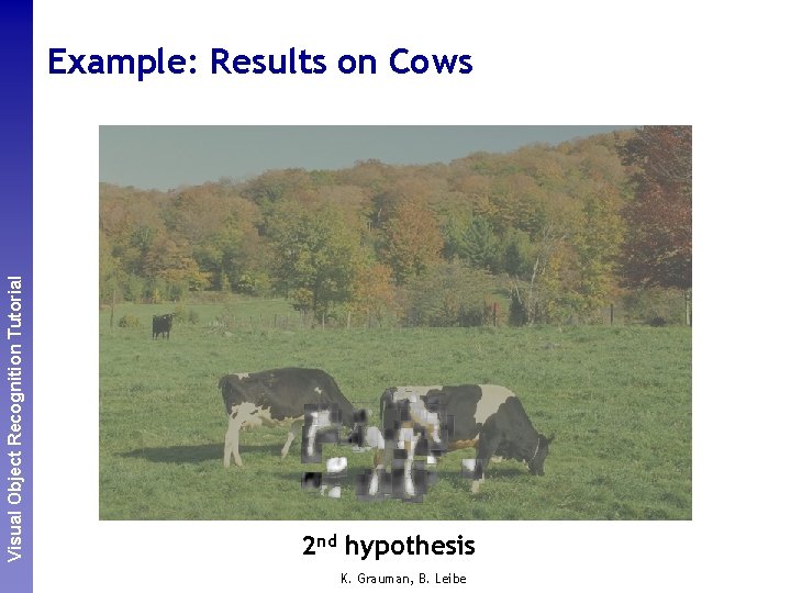 Perceptual and. Recognition Sensory Augmented Visual Object Tutorial Computing Example: Results on Cows 2