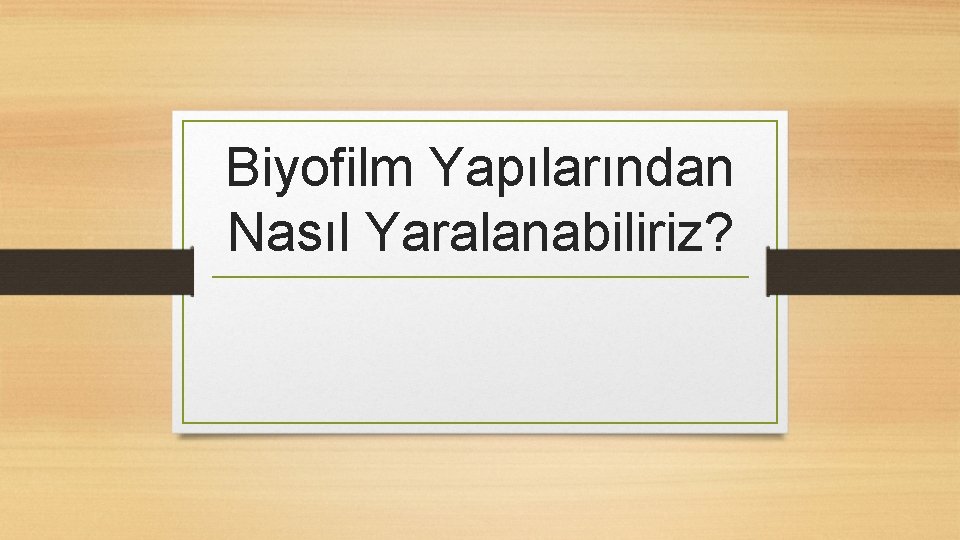 Biyofilm Yapılarından Nasıl Yaralanabiliriz? 