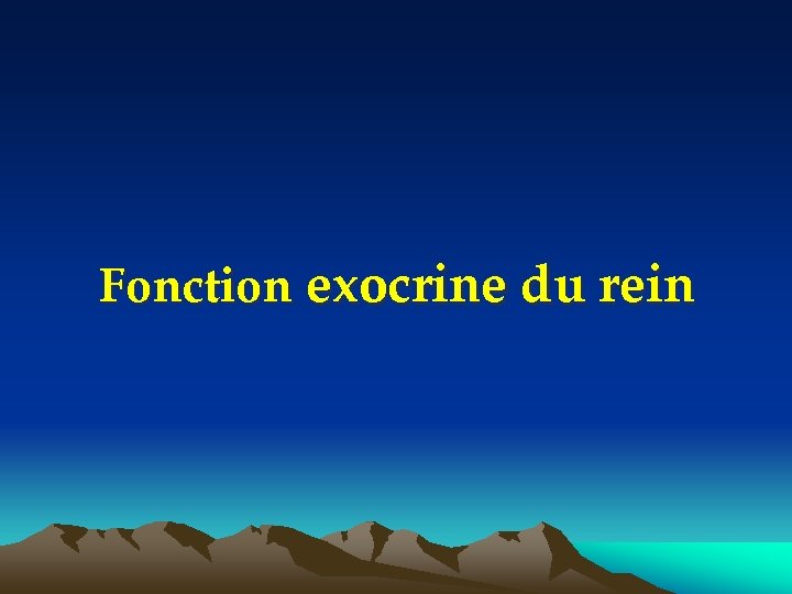 Fonction exocrine du rein 