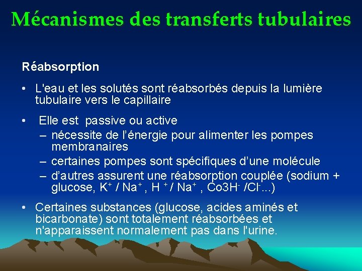 Mécanismes des transferts tubulaires Réabsorption • L'eau et les solutés sont réabsorbés depuis la