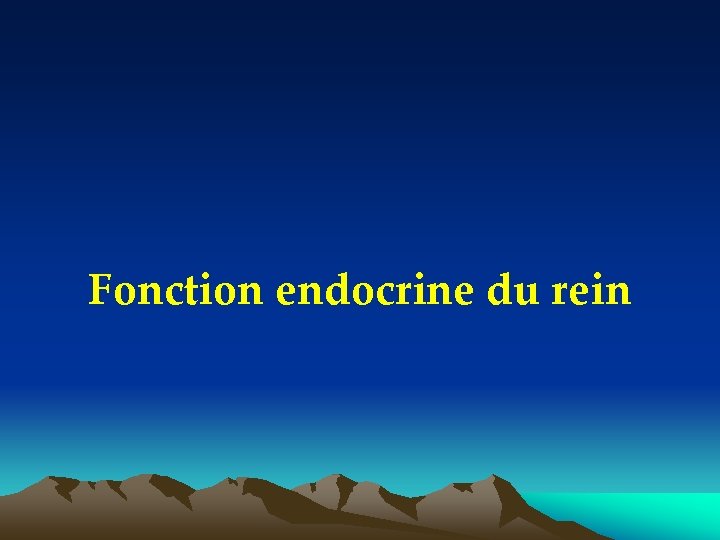 Fonction endocrine du rein 