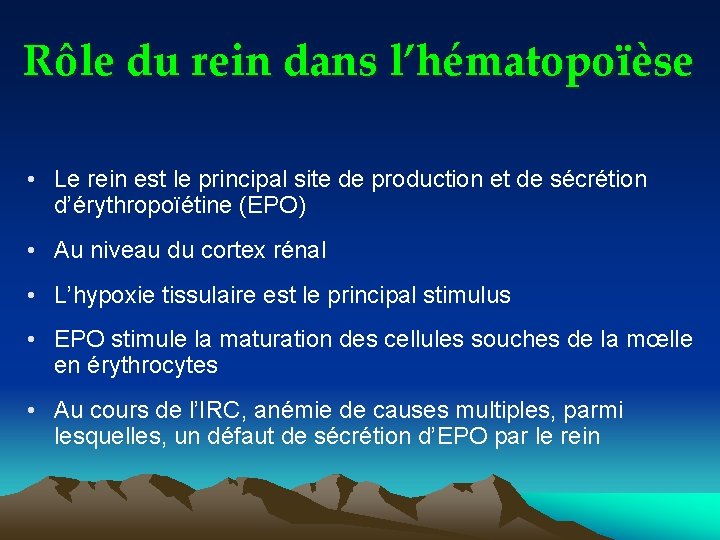 Rôle du rein dans l’hématopoïèse • Le rein est le principal site de production