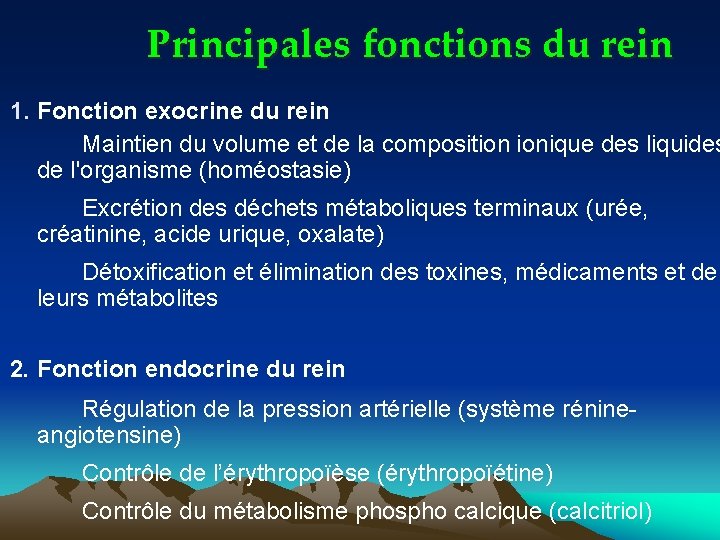 Principales fonctions du rein 1. Fonction exocrine du rein Maintien du volume et de