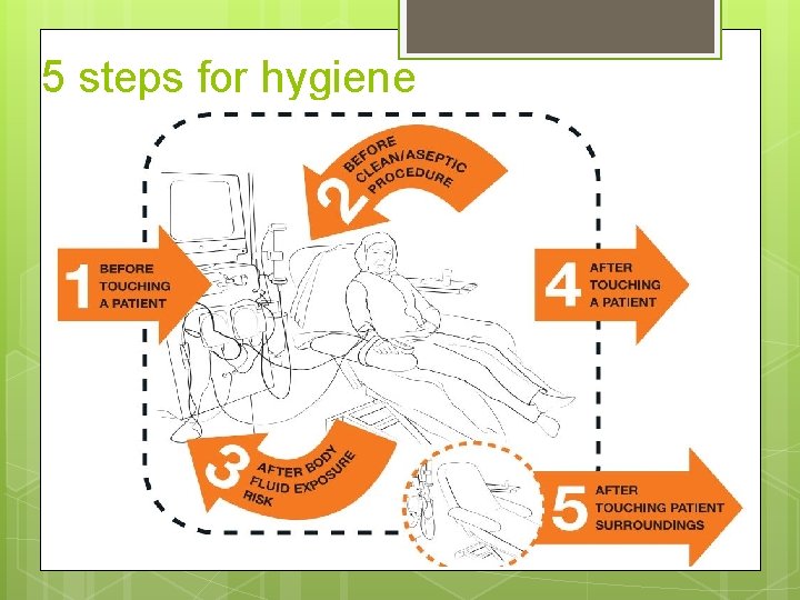 5 steps for hygiene 