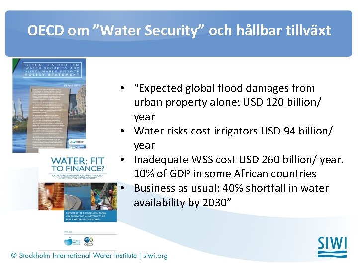 OECD om ”Water Security” och hållbar tillväxt • “Expected global flood damages from urban