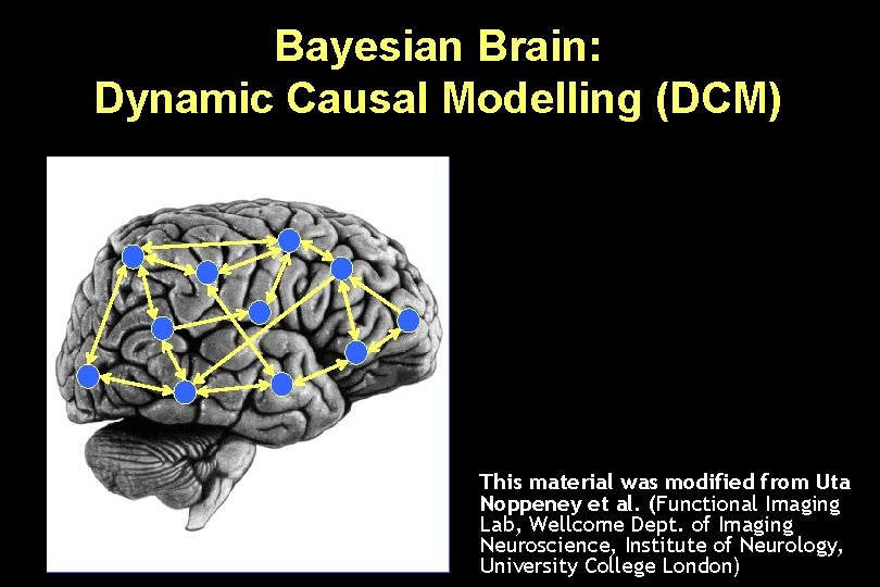 Bayesian Brain: Dynamic Causal Modelling (DCM) This material was modified from Uta Noppeney et